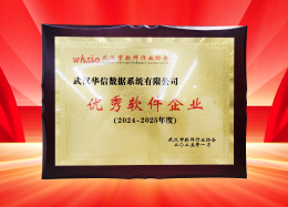 喜讯丨韦德国际1946韦德数据获评2024~2025年度武汉市软件行业&ldquo;优秀企业&rdquo;、&ldquo;优秀工作者&rdquo;荣誉称号！
